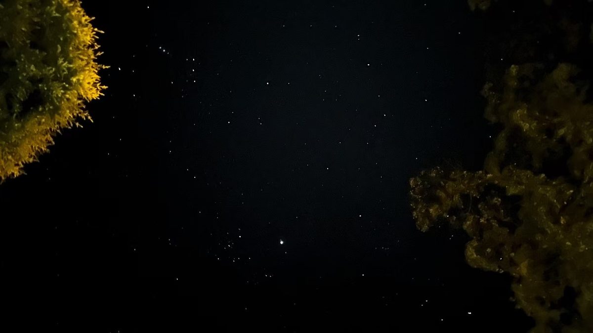 武夷山风景