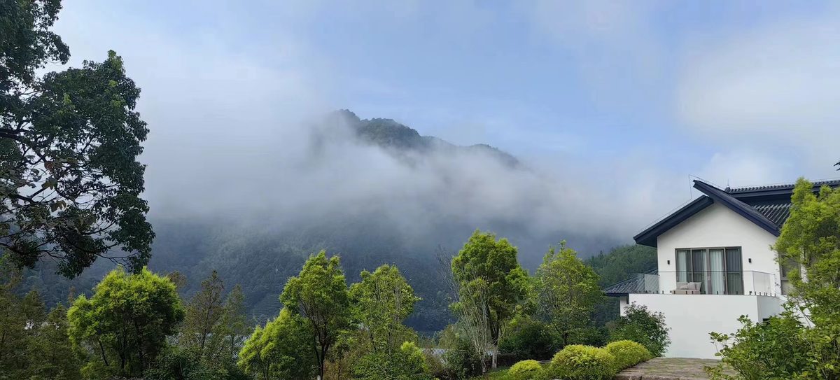武夷山营地建筑