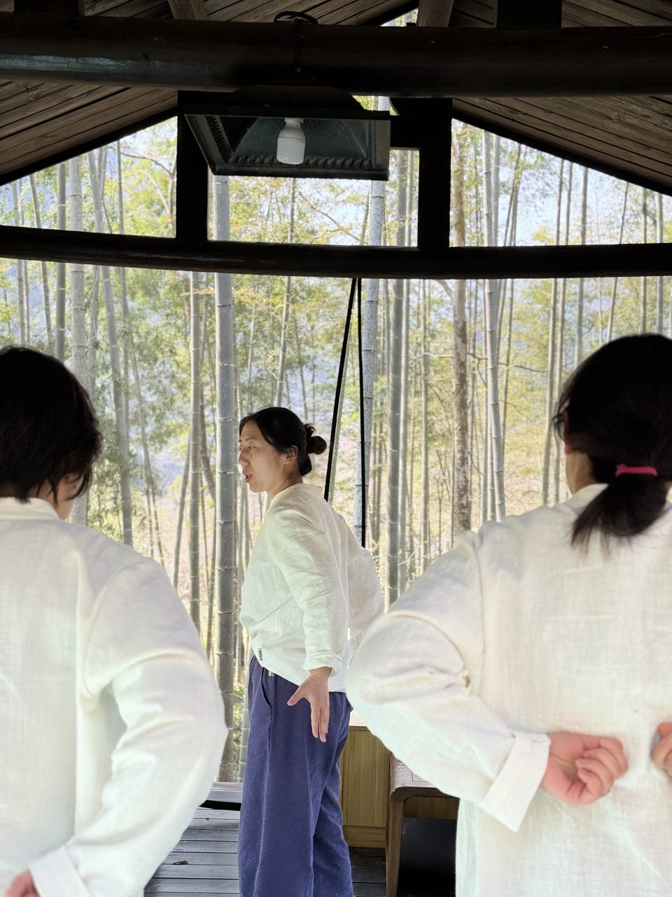 武夷山辟谷营地环境：竹林与建筑